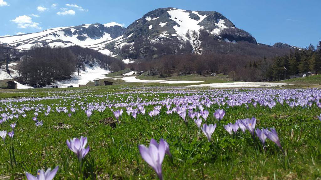 Campitello Matese - Appennino molisano - location cinematografica